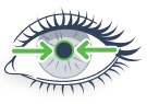 Illustration showing how carbachol works